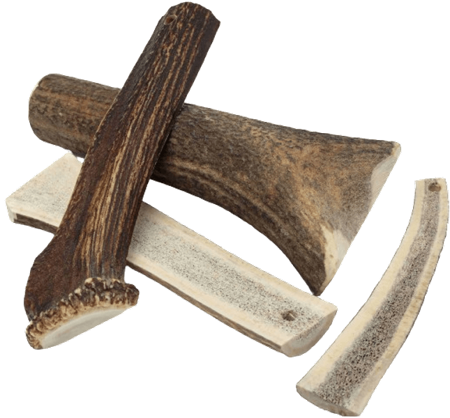 peuransarvi puruluu, S, view: 3