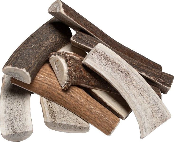 halkaistu peuransarvi puruluu, S, view: 0