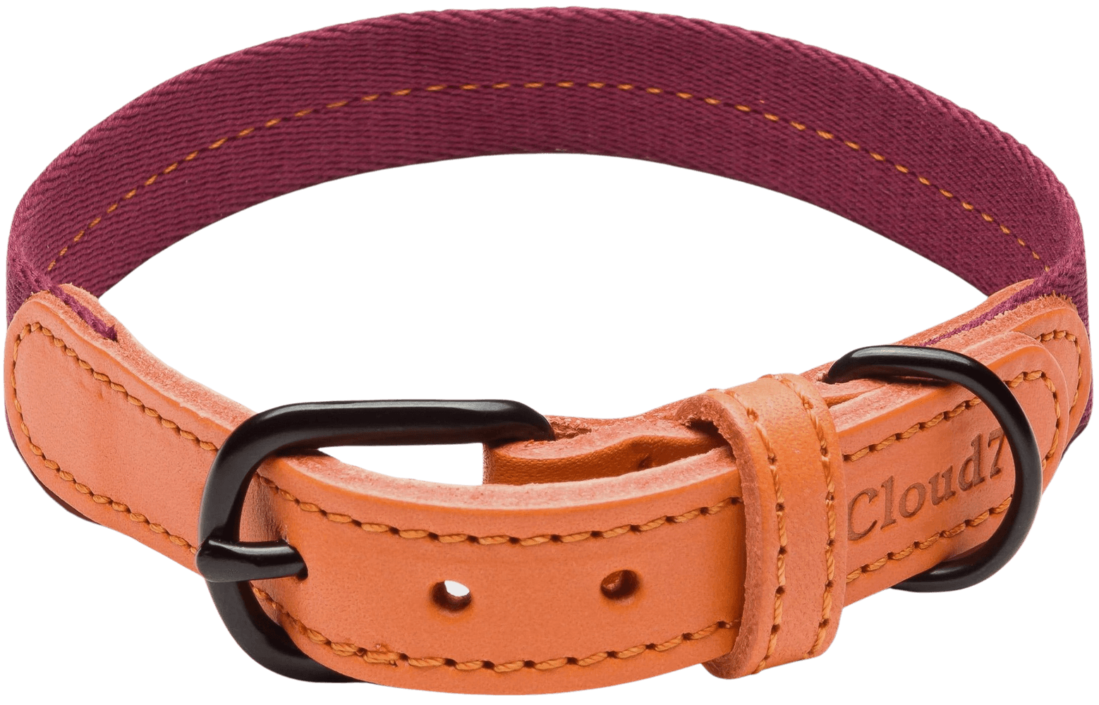 Dog Collar Madeira kaulapanta, L-XL, Papaya, view: 0
