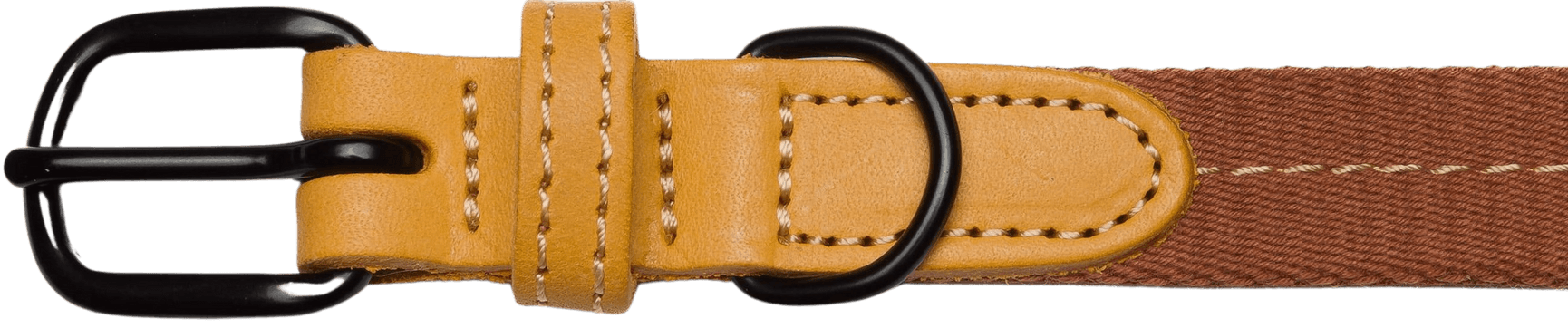 Dog Collar Madeira kaulapanta, XS-M, Ginger, view: 1