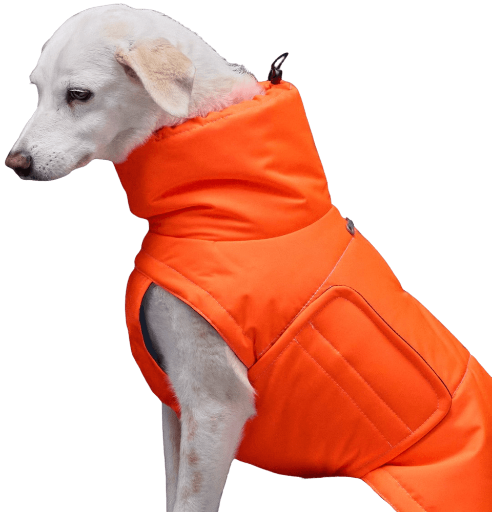 Yukon Dog Coat koiran takki, koot 6-10, Neon Orange, view: 1