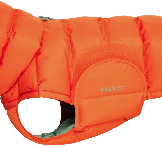 Dog Coat koirantakki, 6-9, Burnt Orange, view: 1