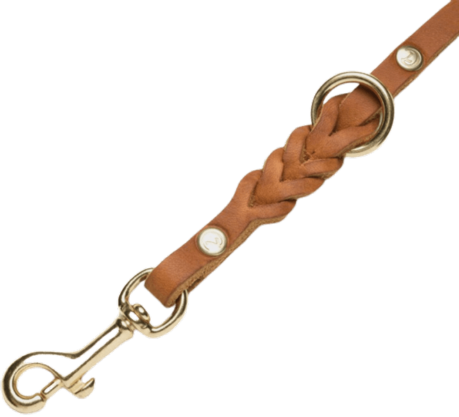 Leash Riverside Park monitoimihihna, L, vaaleanruskea, view: 1