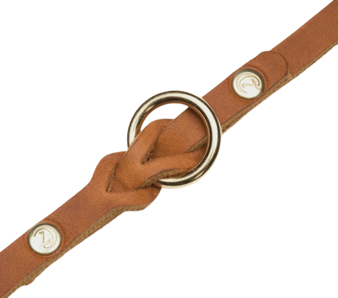 Leash Riverside Park monitoimihihna, L, vaaleanruskea, view: 2