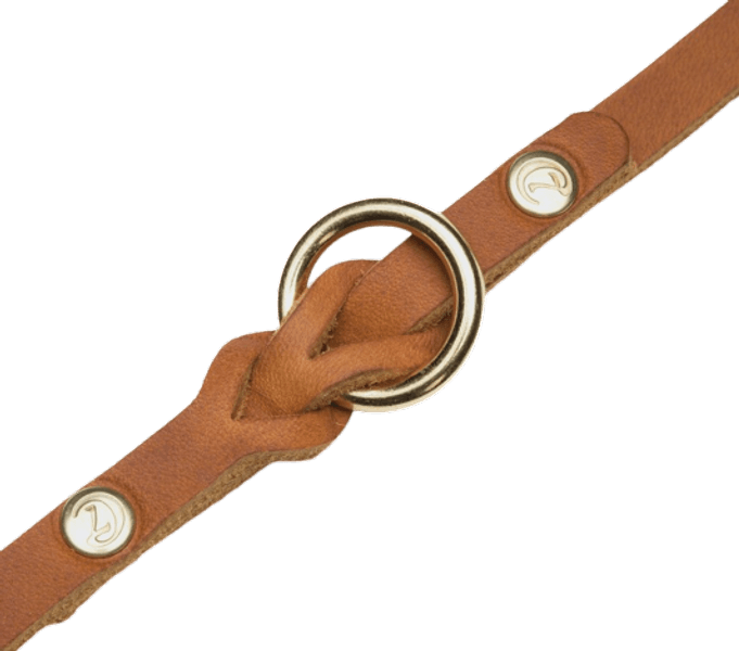 Leash Riverside Park monitoimihihna, L, vaaleanruskea, view: 2