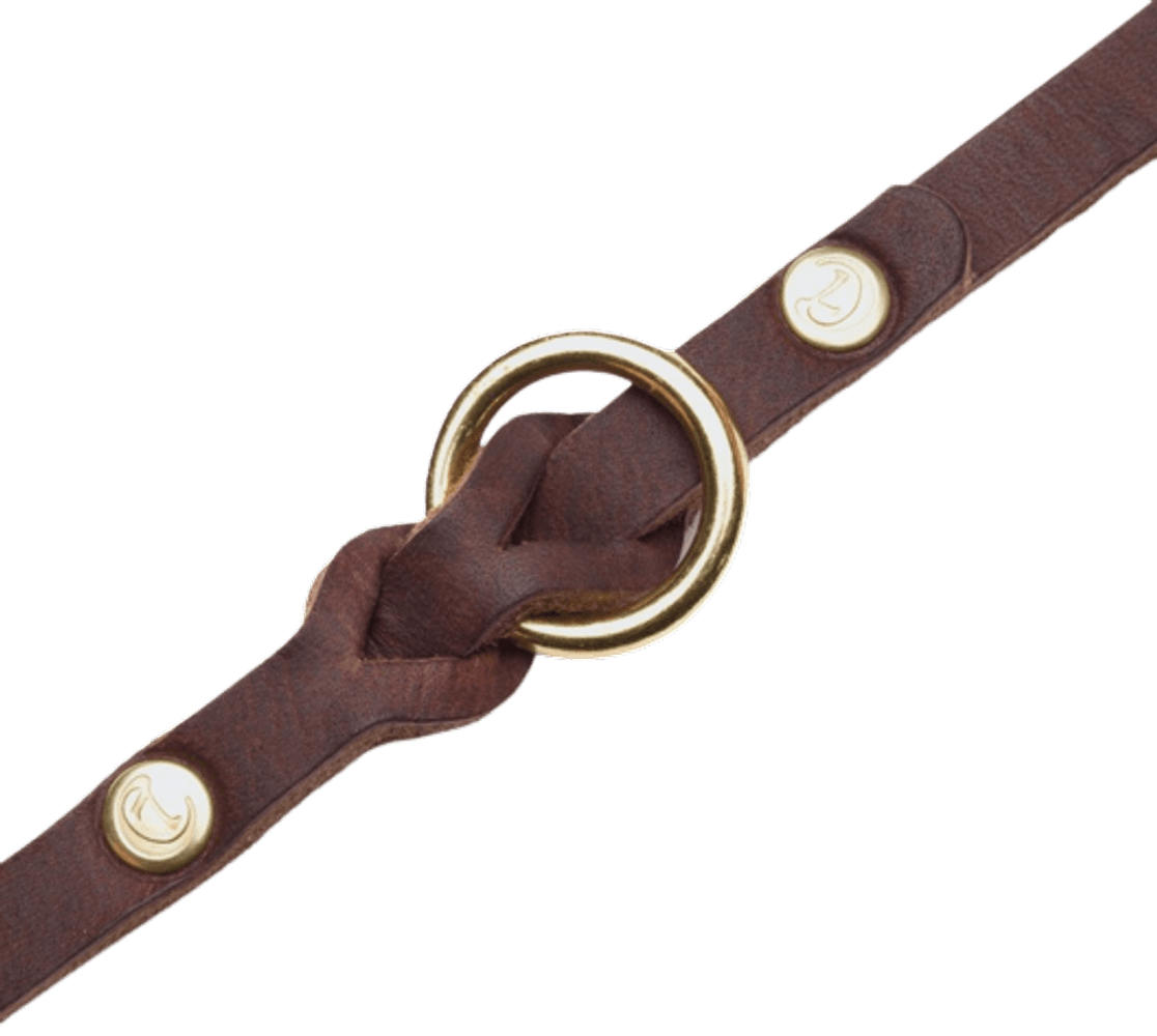 Leash Riverside Park monitoimihihna, L, ruskea, view: 2