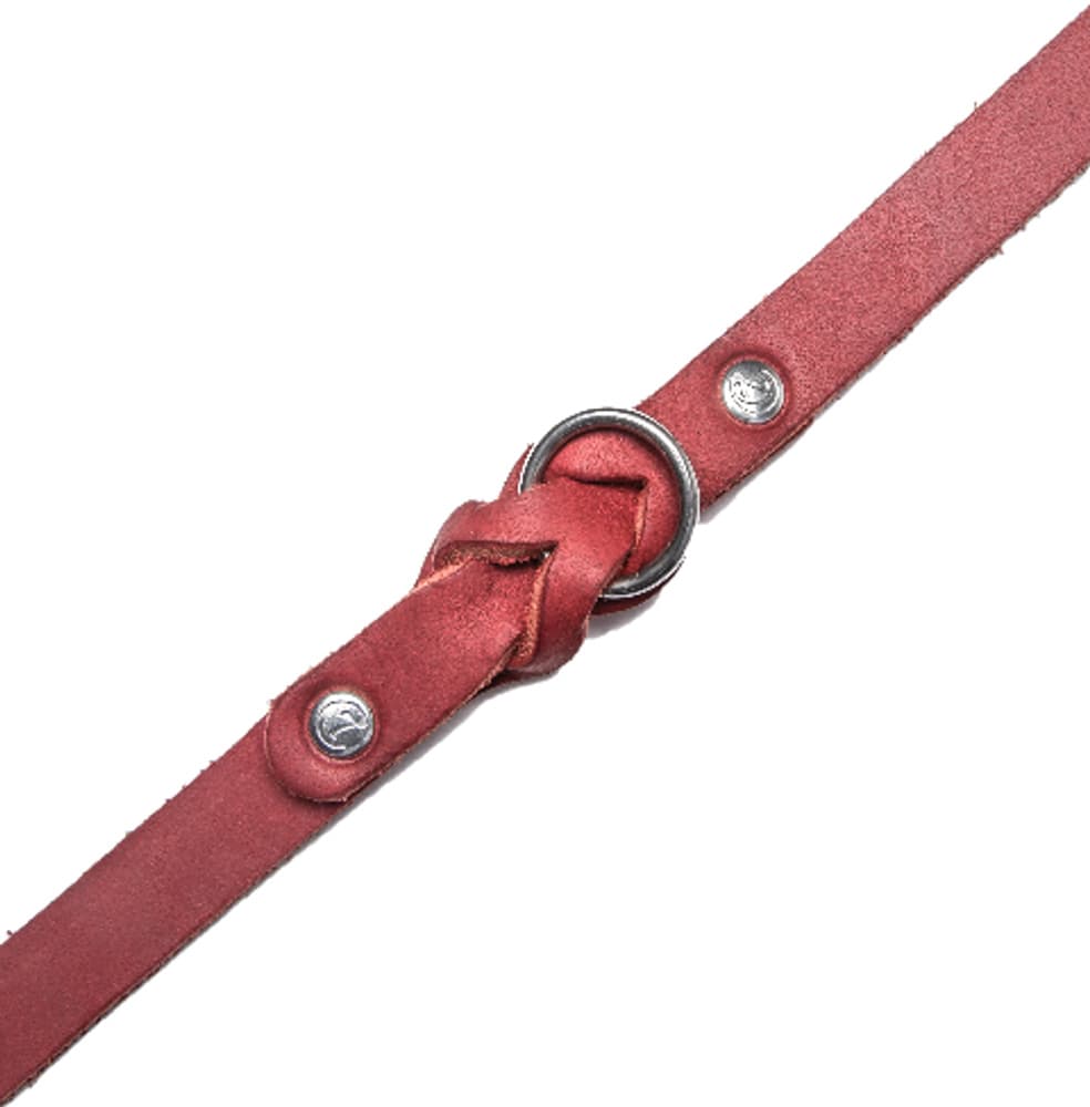 Riverside Park koiran kaulapanta, XS–S, Merlot, view: 2