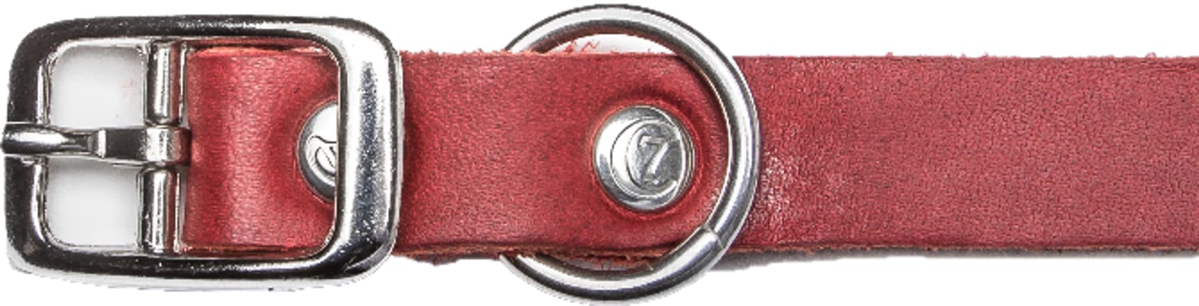 Riverside Park koiran kaulapanta, XS–S, Merlot, view: 1