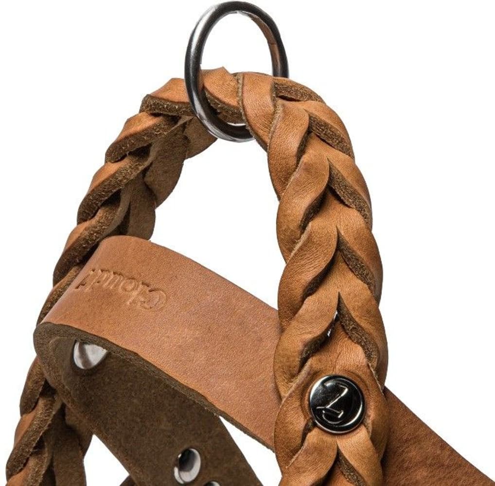 Valjaat Central Park Camel Size L-XL, view: 1