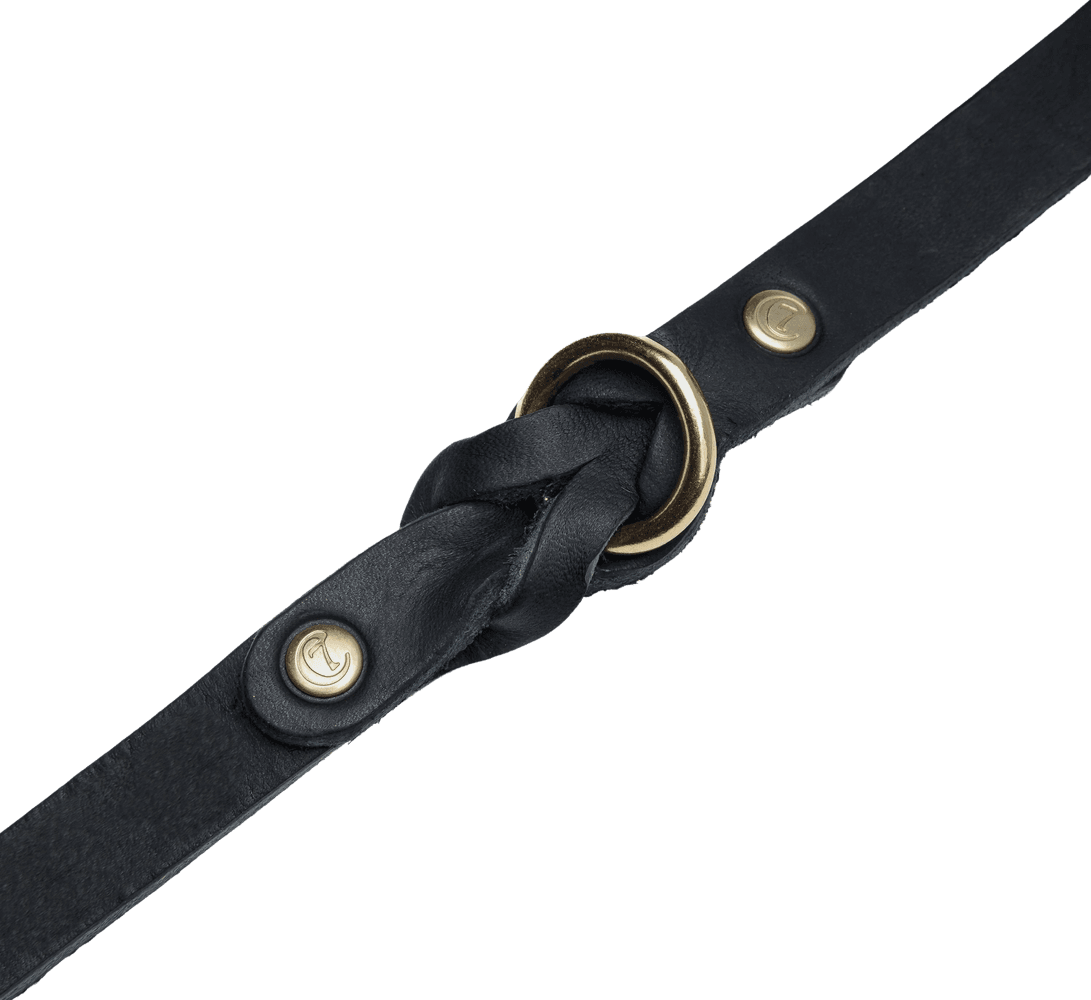 Collar Riverside Park koiran kaulapanta, M, Black Gold, view: 2