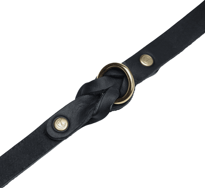 Collar Riverside Park koiran kaulapanta, M, Black Gold, view: 2