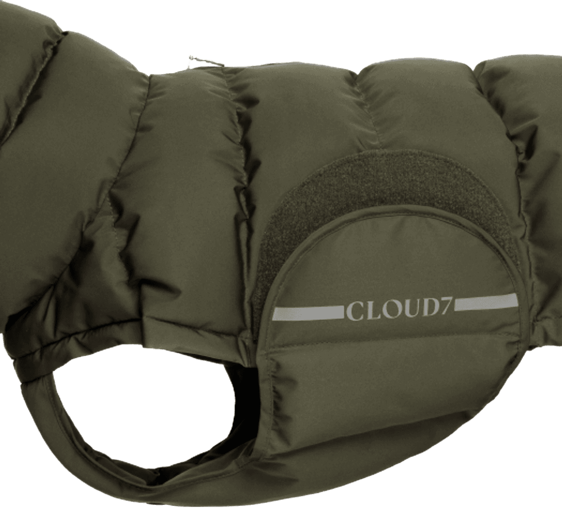 koiran takki, koot 3-5, Olive, view: 1