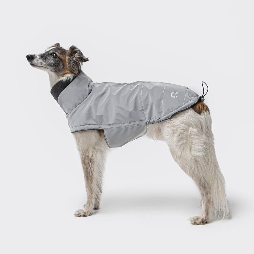 Brooklyn Dog Coat Reflective koiran takki, (koot 6-10), view: 1