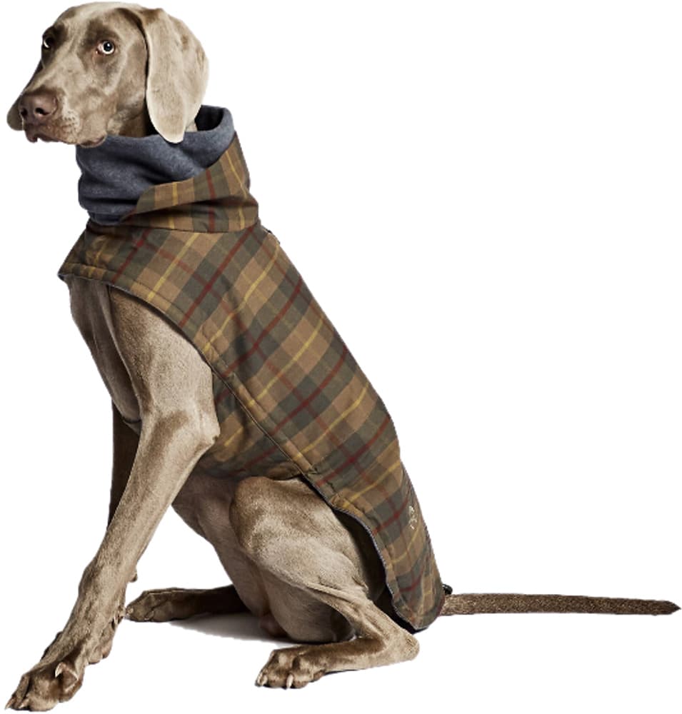 Brooklyn Dog Coat Waxed Tartan koiran takki, koot 6-10, Tartan, view: 3