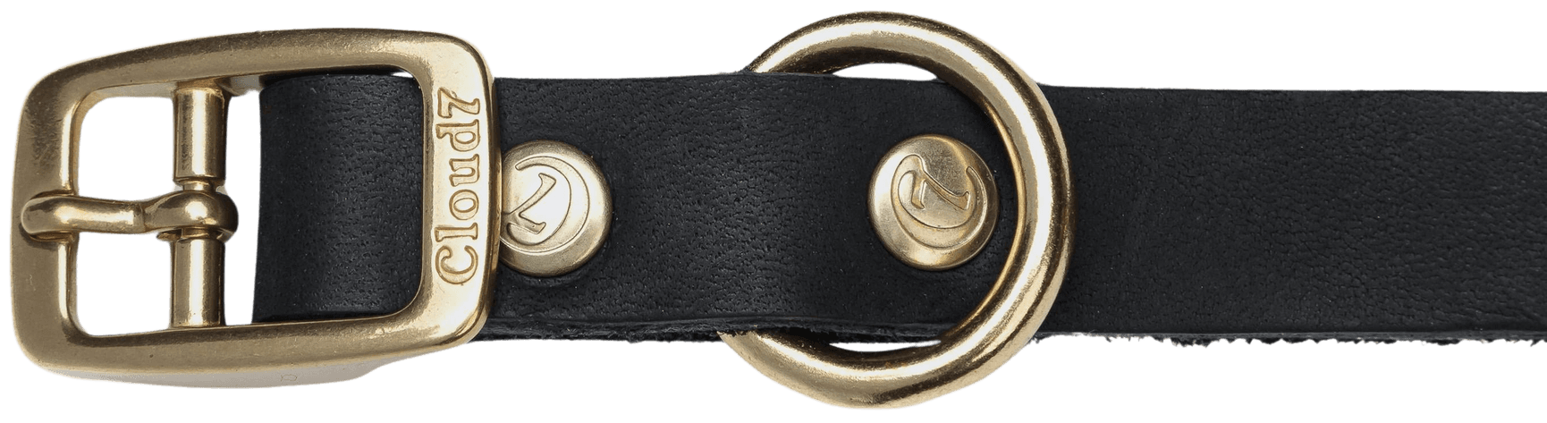 Collar Riverside Park koiran kaulapanta, L-XL, Black Gold, view: 1