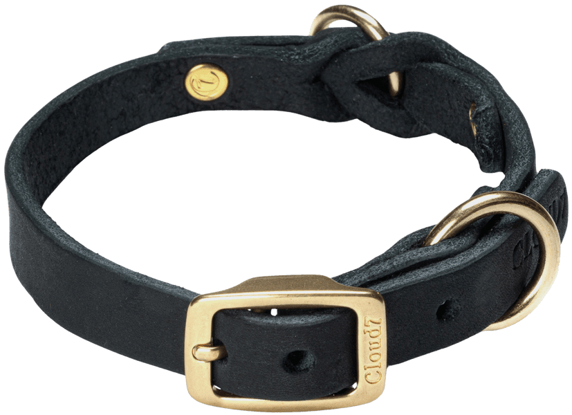 Collar Riverside Park koiran kaulapanta, L-XL, Black Gold, view: 0