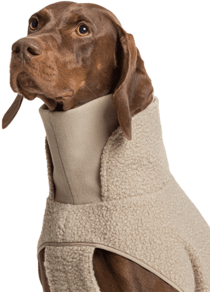Dog Sweater Gotland koiran teddytakki, 4-7, beige, view: 5