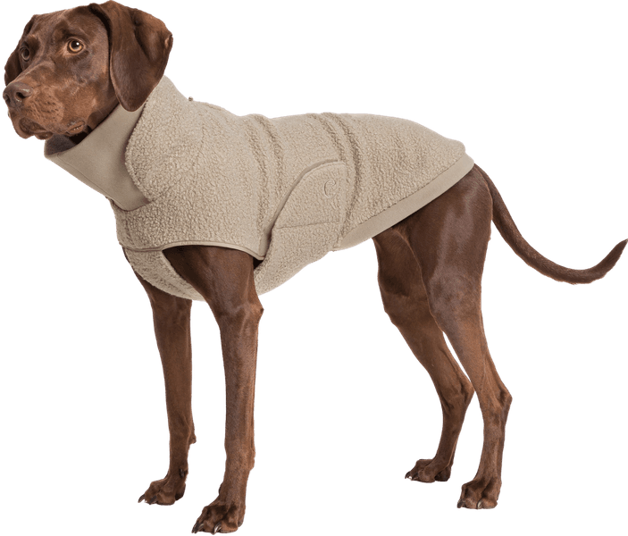 Dog Sweater Gotland koiran teddytakki, 4-7, beige, view: 4