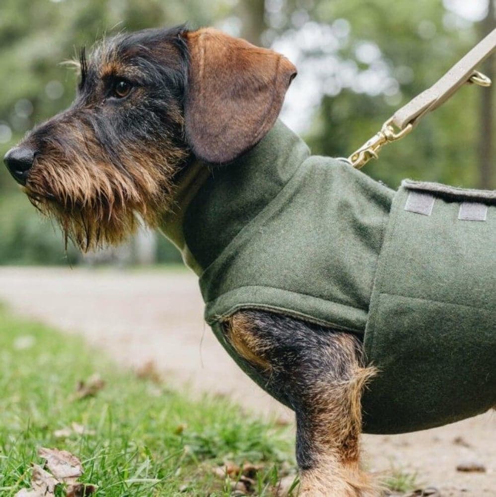 Brooklyn koiratakki, koot 3-5, Fern Green, view: 4