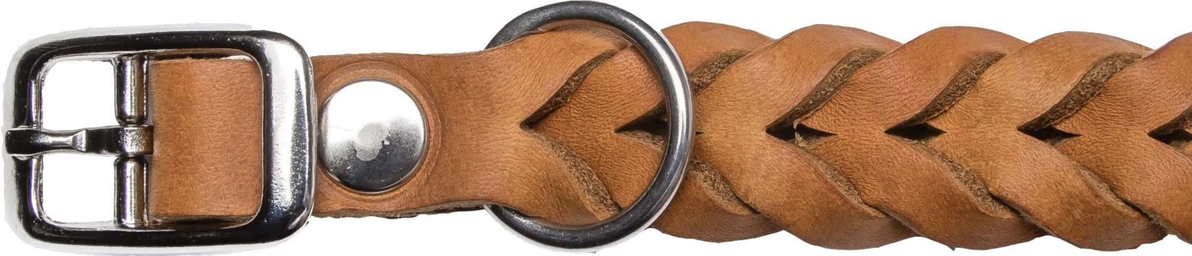 Kaulapanta central Park Camel Size L-XXL, view: 1