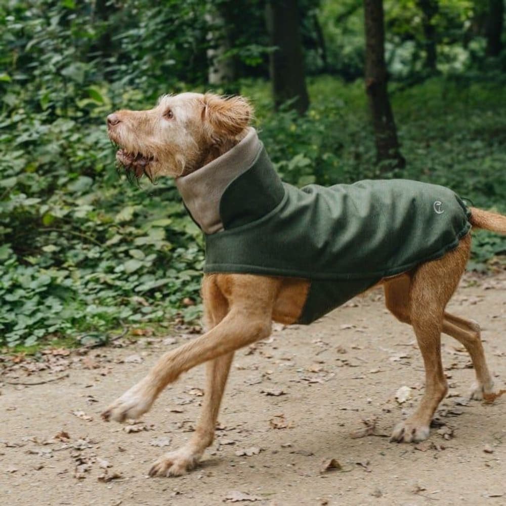 Brooklyn Dog Coat koiran takki, Flannel Fern Green, 6–10, view: 1
