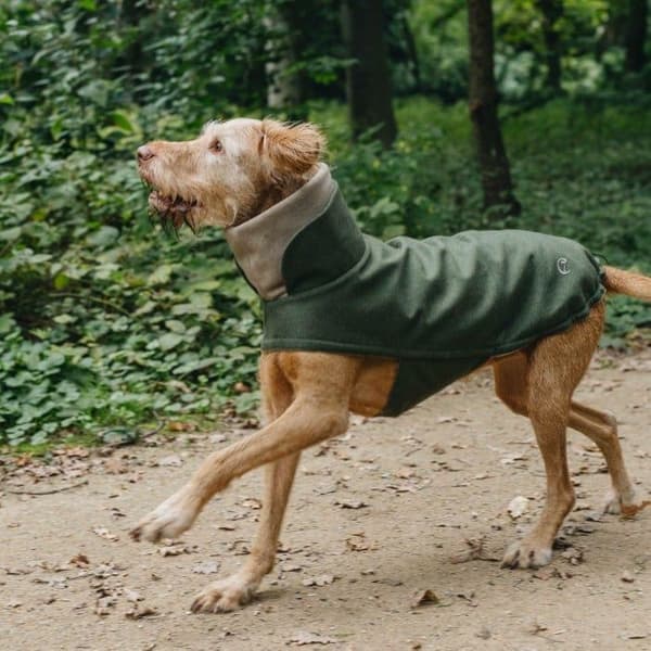Brooklyn Dog Coat koiran takki, Flannel Fern Green, 6–10, view: 1