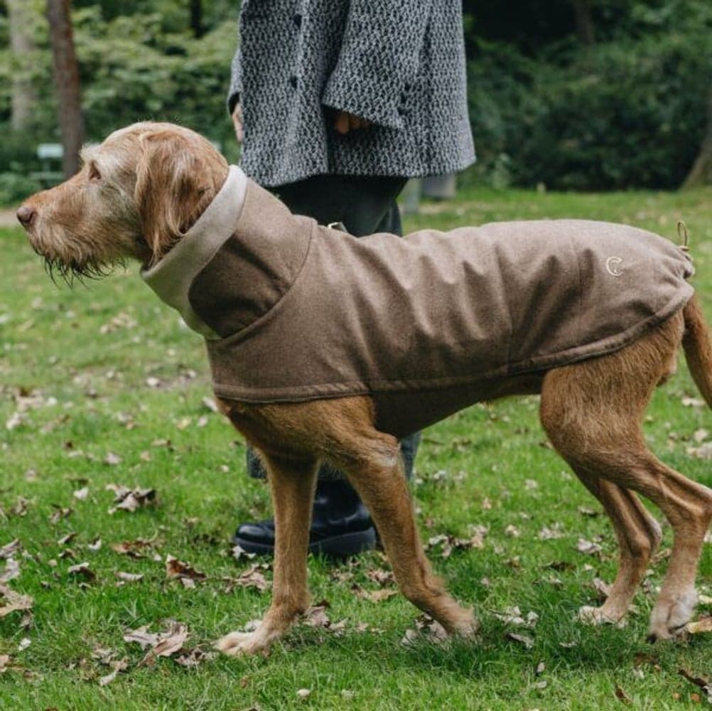 Brooklyn Dog Coat koiran takki, Flannel Hazel, 6–10, view: 1