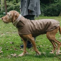Brooklyn Dog Coat koiran takki, Flannel Hazel, 6–10 - view: 1