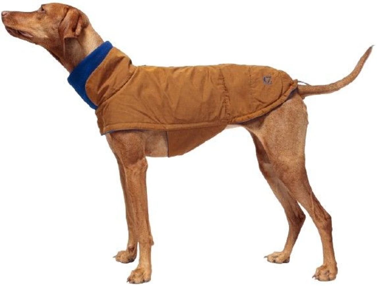 Dog Coat Brooklyn Waxed Cotton koiran talvitakki, koot 6-9, Curry, view: 1