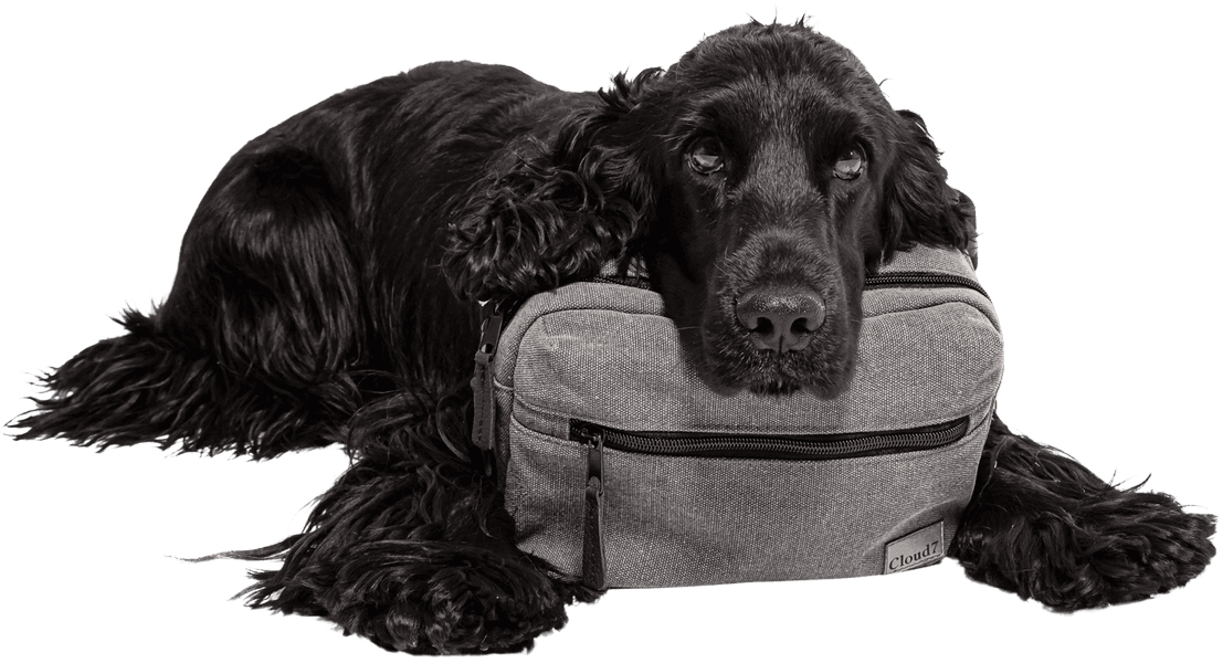 Belt Bag vyölaukku, Blue, view: 5