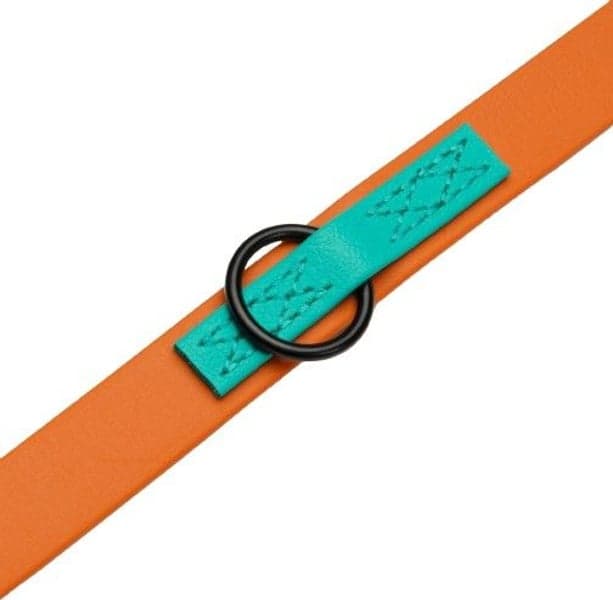 Dog Leash Ipanema talutushihna, L, Orange, view: 1