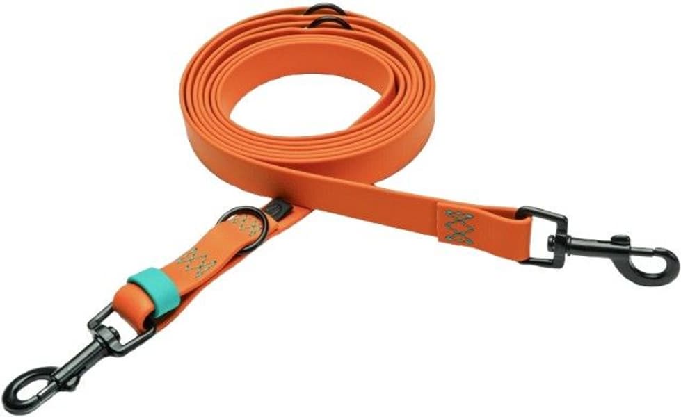 Dog Leash Ipanema talutushihna, L, Orange, view: 0