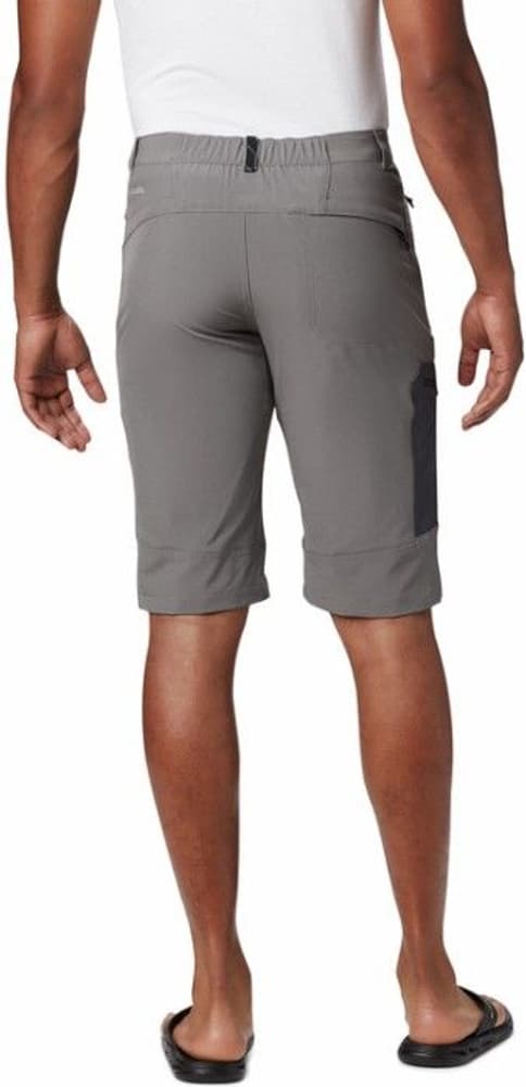 Triple Canyon Short shortsit, harmaa, view: 1
