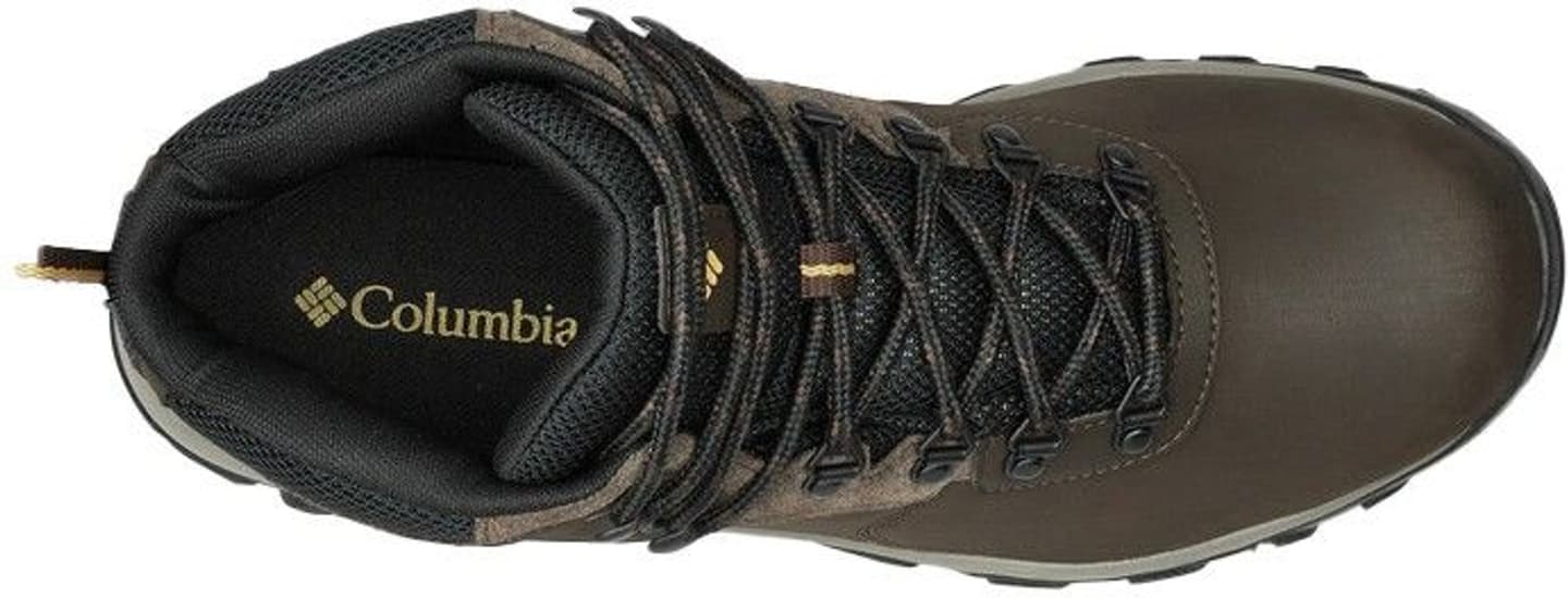 Newton Ridge Plus II Waterproof vaelluskengät, Cordovan/Squash, view: 8