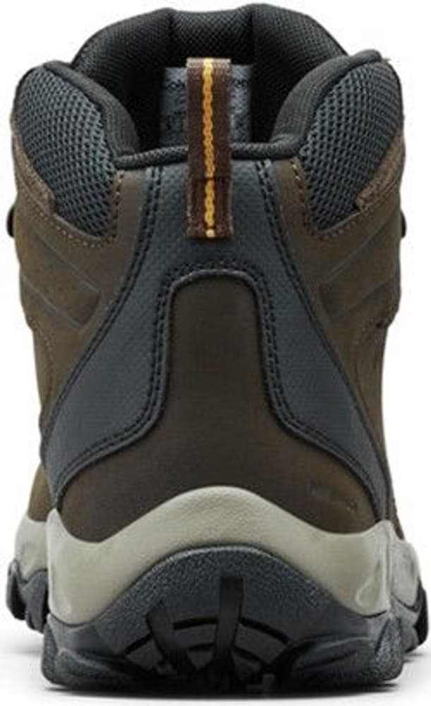 Newton Ridge Plus II Waterproof vaelluskengät, Cordovan/Squash, view: 5