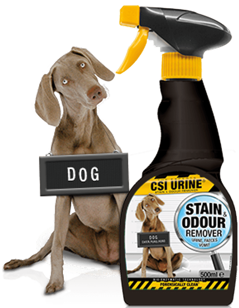 CSI URINE Dog Spray 500ml, view: 0
