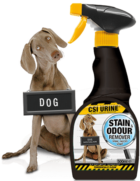 CSI URINE Dog Spray 500ml, view: 0