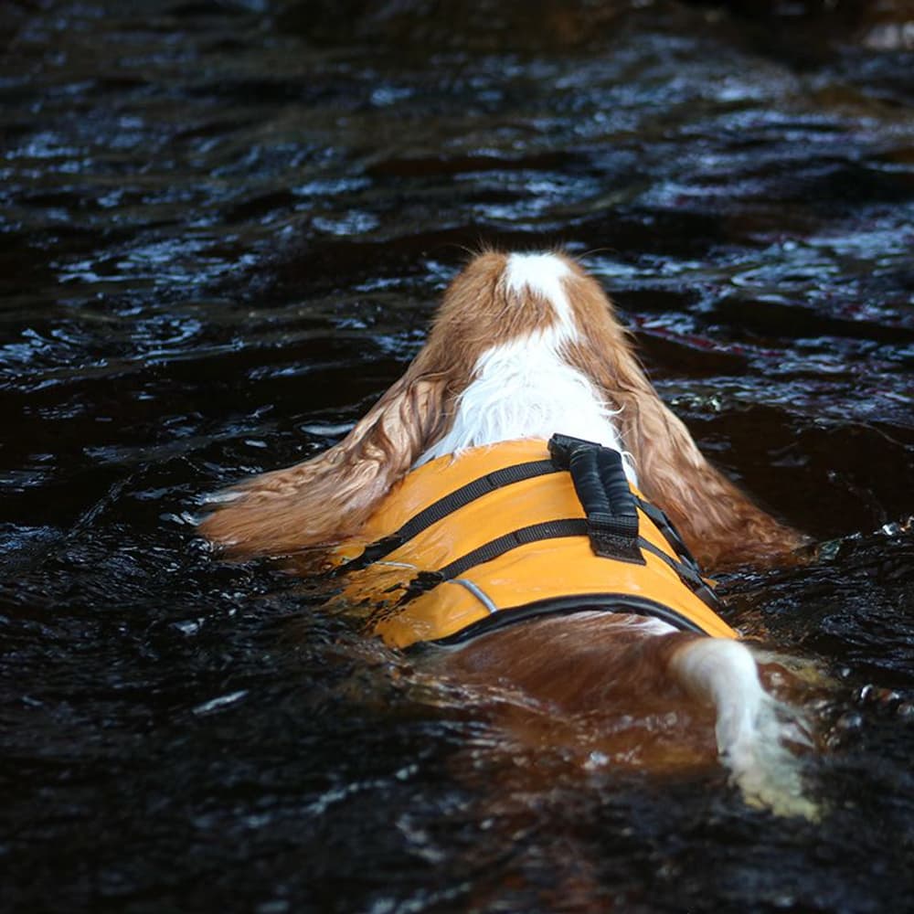 Life Jacket koiran pelastusliivi, S, view: 4