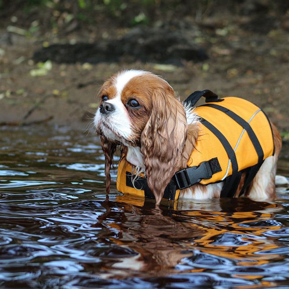 Life Jacket koiran pelastusliivi, XS, view: 3