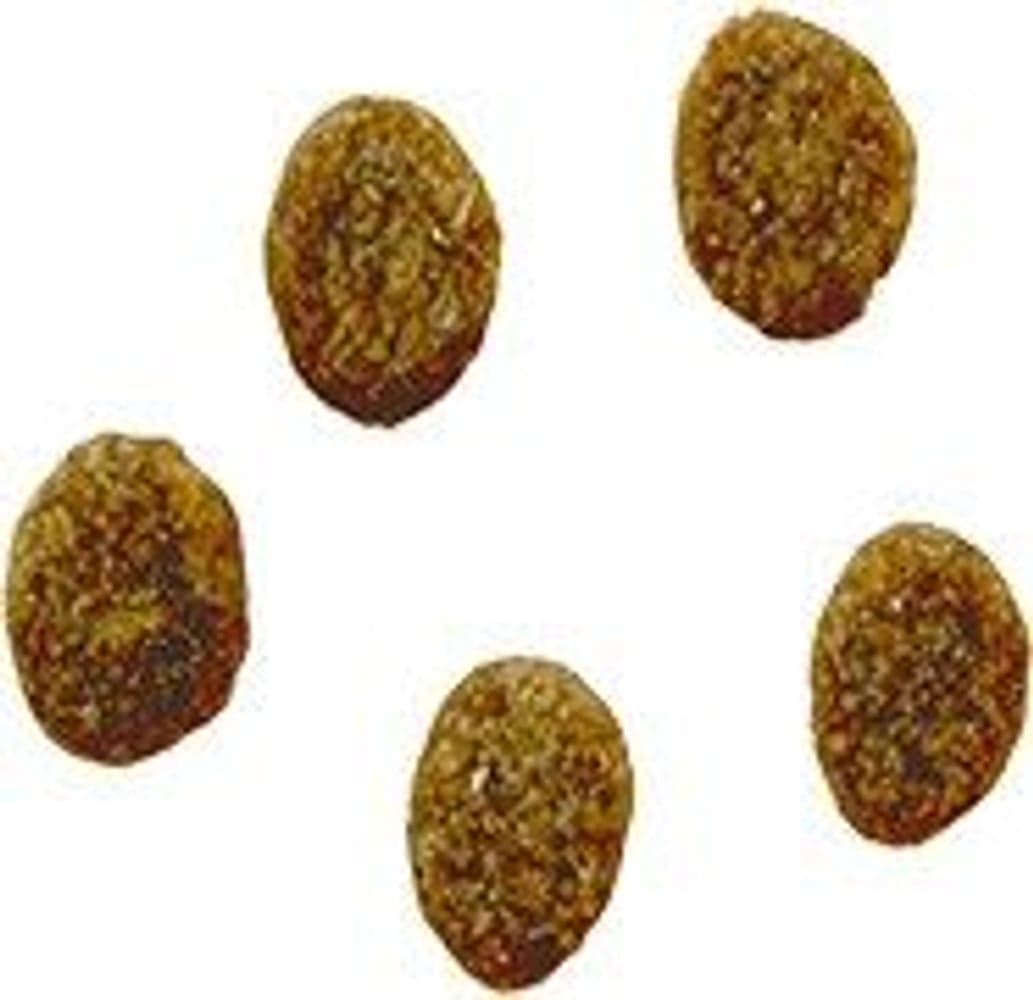 Robur Sensitive Grain Free Chicken 11,5 kg, view: 1