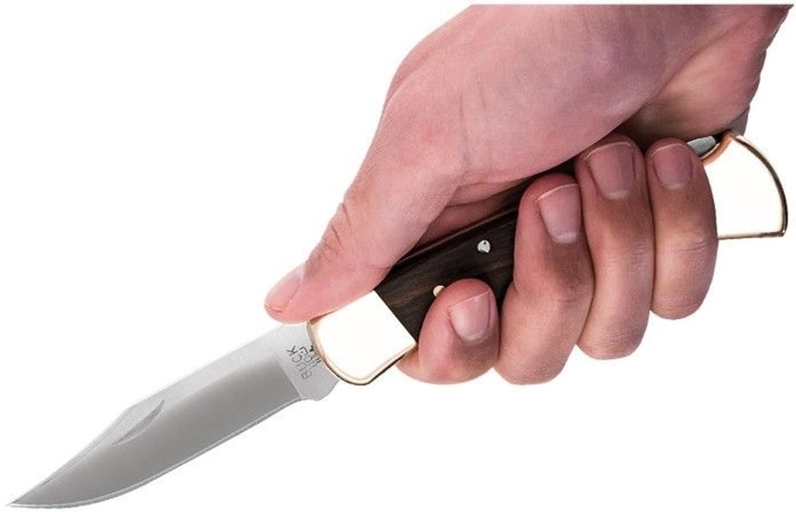 Buck 110FG: Folding Hunter, view: 2