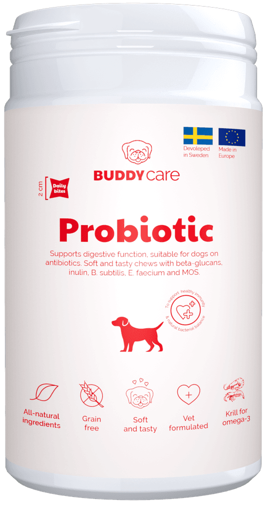 Care Probiotic lisäravinne, view: 0