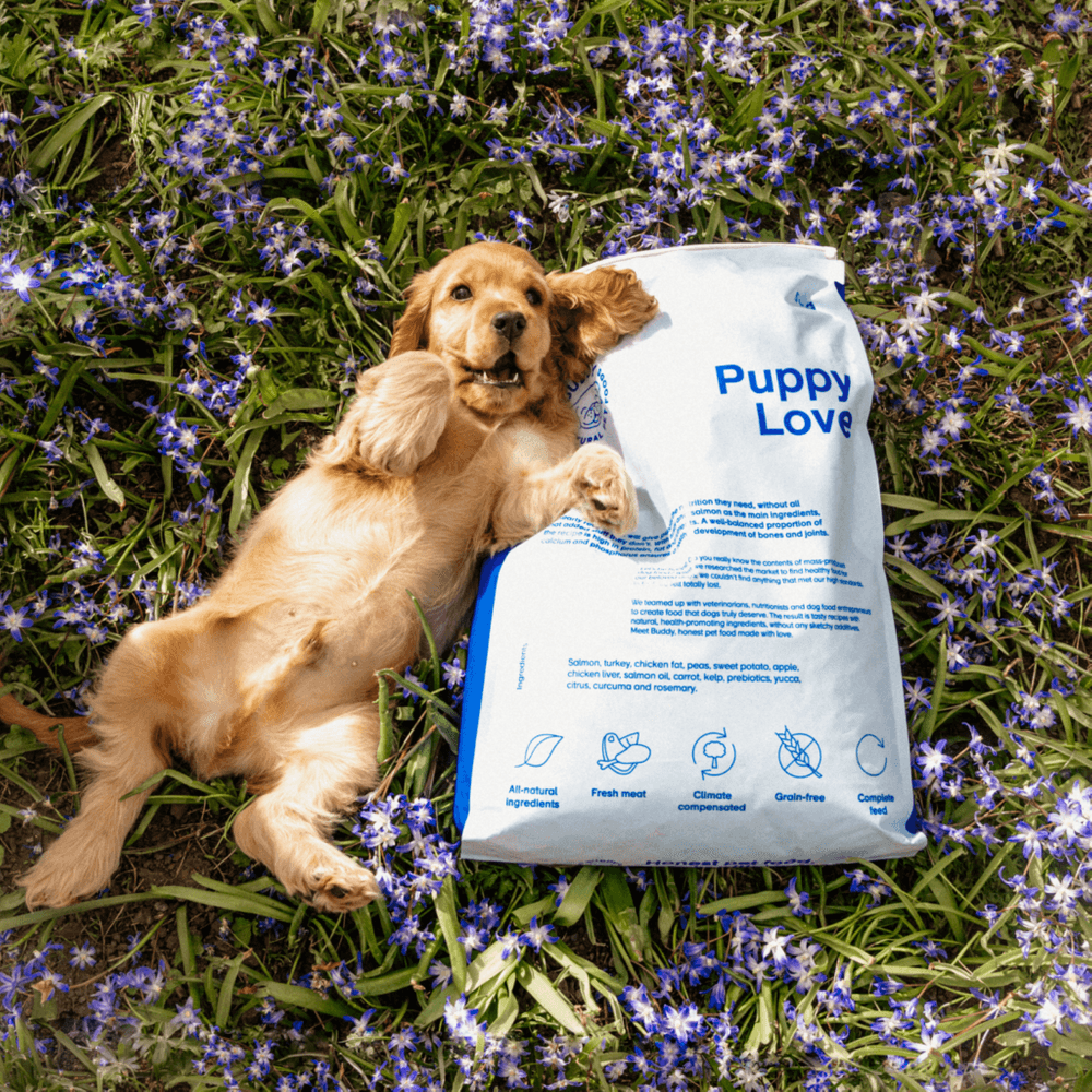  Puppy Love pentujen kuivaruoka, 5 kg, view: 2