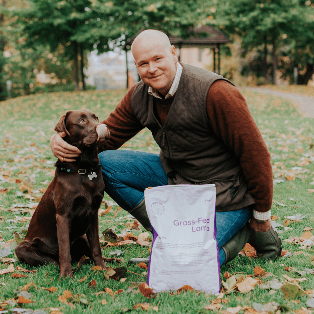  Grass-Fed Lamb kuivaruoka, 12 kg, view: 2