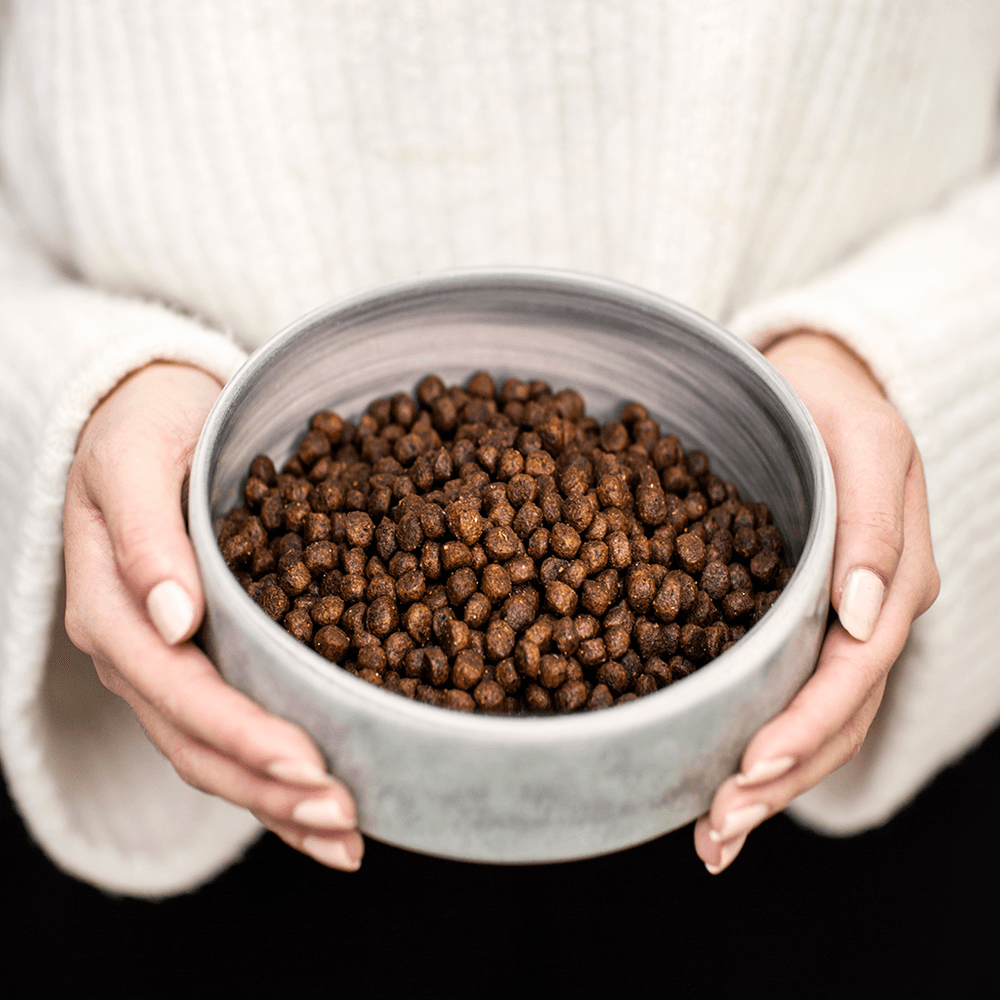 Tasty Duck Bites kuivaruoka, 2 kg, view: 3