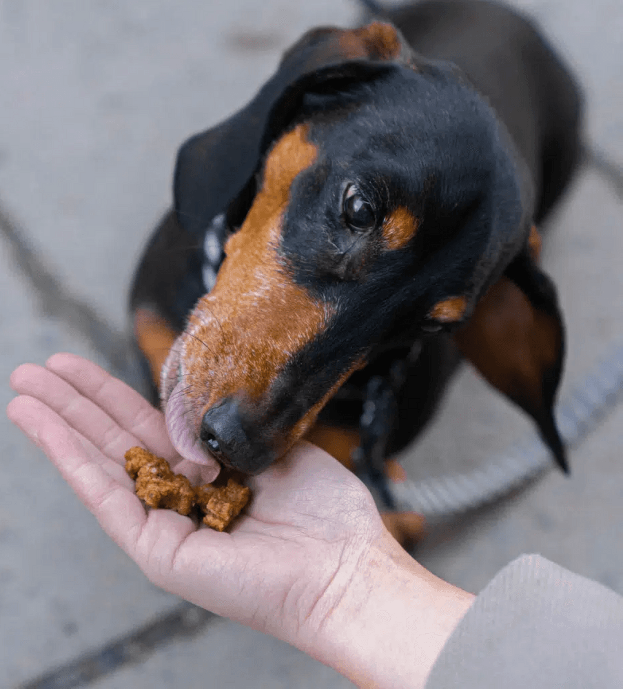 Training Snacks Beef makupalat, 100g, view: 1