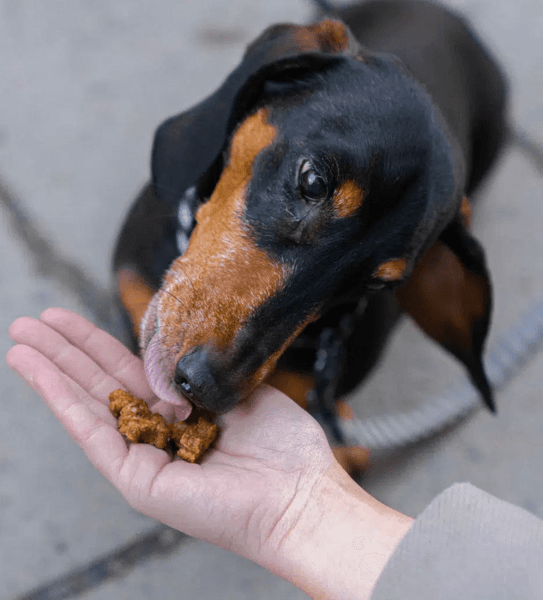 Training Snacks Beef makupalat, 100g, view: 1