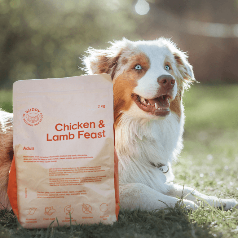 Buddy Chicken & Lamb Feast kuivaruoka, 2 kg | Widforss/Retkitukku