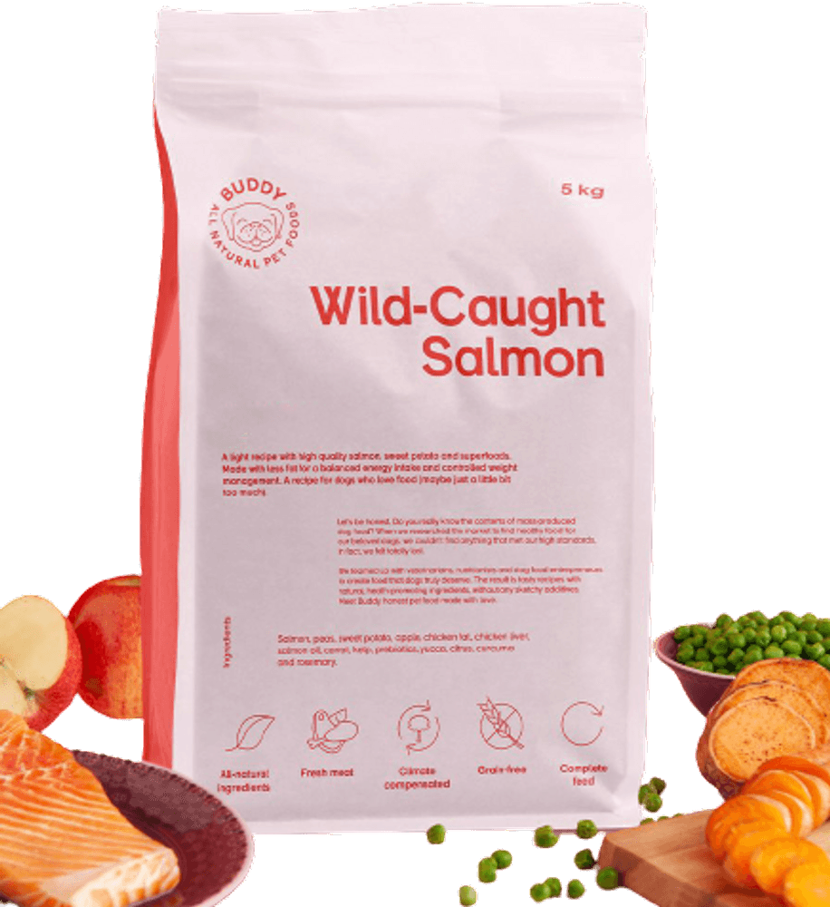  Wild Caught Salmon kuivaruoka, 12 kg, view: 1