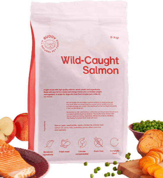  Wild Caught Salmon kuivaruoka, 12 kg, view: 1